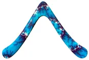 Beginner Boomerang - Seagull Special Edition Boomerang