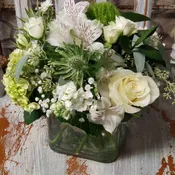 Peaceful Blooms