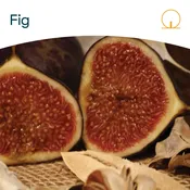 Fig Candle | Wick: A Candle Bar