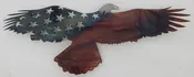 24" Rustic Bald Eagle