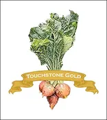 Beet Seed. Organic Touchstone Gold. Pkt.