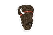 Bison Sticker
