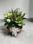 14" TERRA COTTA SAUCER WITH FLOWERS