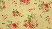 102" Dark Red & Light Coral Rose Floral EXTRA WIDE Percale Sheeting Fabric