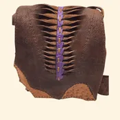 Buffalo Bag with purple detail