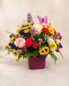 Butterfly Meadow — Corner Creations by Dana