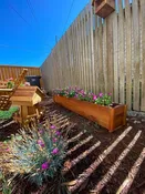 Cedar Xentra Planter 24''