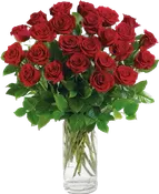 2DZ Red Roses