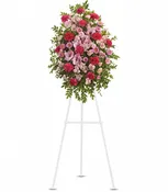 Pink Tribute Spray