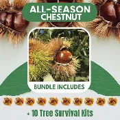 All Season Chestnut Bundle |18"-36"| 10 Trees  + Kits