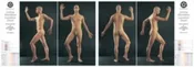 5th Element Living Meridian Chart TCM (Used)