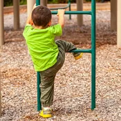 Certified Playground Mulch