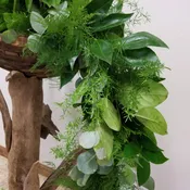 Cocculus, Eucalyptus, Plumosus, Sprengeri & Salal