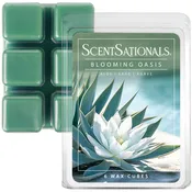 Blooming Oasis - 2.5 oz