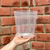 7 Inch Clear Nursery Pot