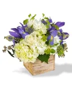 BLUE BLOOMS