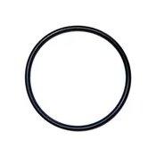 2" PUMP UNION O RING - 2 PACK