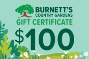 $100 Gift Certificate $100