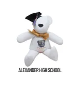 Alexander High School