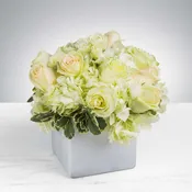Simplicity by BloomNation™