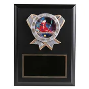 Colorful Resin Disk Downhill Ski Plaque