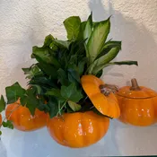 Fall Dishgarden
