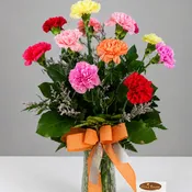 Darlin' Carnations