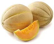 Cantaloupe – Honey Rock