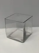 Glass Cube Vases — Studio B Floral