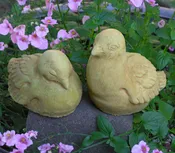 Dove Pair