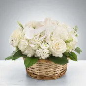 Lace by BloomNation™