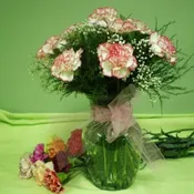Carnation Favorite