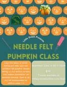 Needle Felting Wool Pumpkin Class — Little Green A Plant Bar