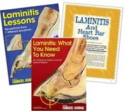 Everything You Need To Know About Laminitis