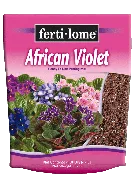 African Violet Mix