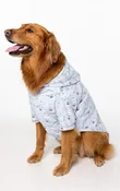 Apres Ski Button-Front Flannel Pajamas