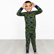 Bamboo Long Sleeve Pajama Set with a Green Dinosaur Print