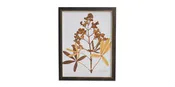 Sepia Holly Hock Buds | Bassett Furniture
