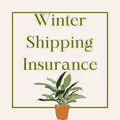 Winter Shipping Insurance — Roosevelt's Terrariums