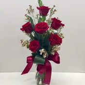 6 Explorer Red Roses