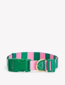 Dog Collar-Green/Pink Stripe