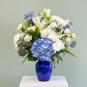 Beautiful Blues