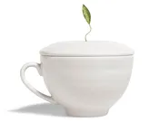 Café Cup Orchid White