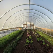 16' DIY High Tunnel Greenhouse Kit: Build Your Own Hoop House