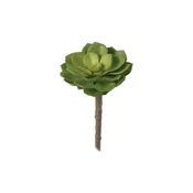 Succulent Pick