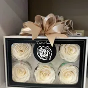 Forever roses- ivory