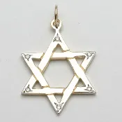 14k Gold and Diamond Star of David Pendant