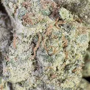 Blue Ice | 3.5 Grams |Sativa