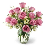 Dozen Lavender Roses