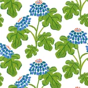 Casia Flowers Wallpaper- White